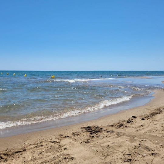  Annonces SAUVIAN : Local / Bureau | PORTIRAGNES-PLAGE (34420) | 50 m2 | 69 000 € 