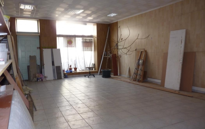 Annonces SAUVIAN : Immeuble | BEZIERS (34500) | 520 m2 | 572 000 € 